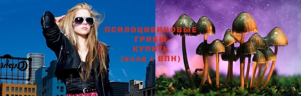 стаф Пестово