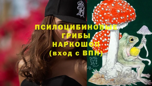 стаф Пестово