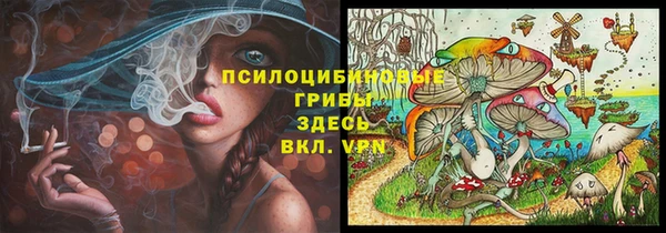 стаф Пестово