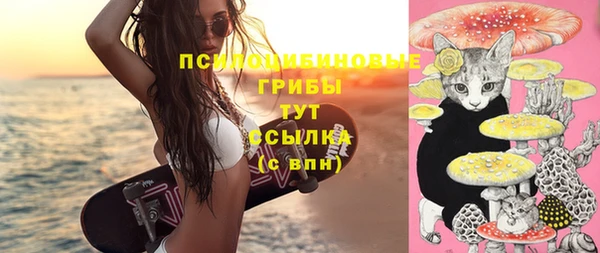стаф Пестово