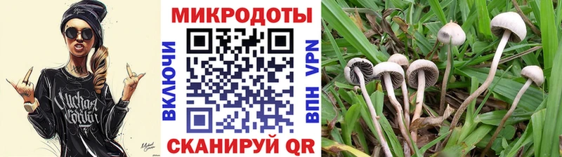 Галлюциногенные грибы мицелий  Купить закладки  Сегежа 